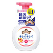 LION Kirei Kirei Medicated Foaming Hand Soap 250ml Fruit